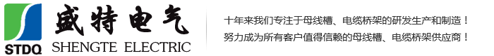 浙江盛特电气有限公司